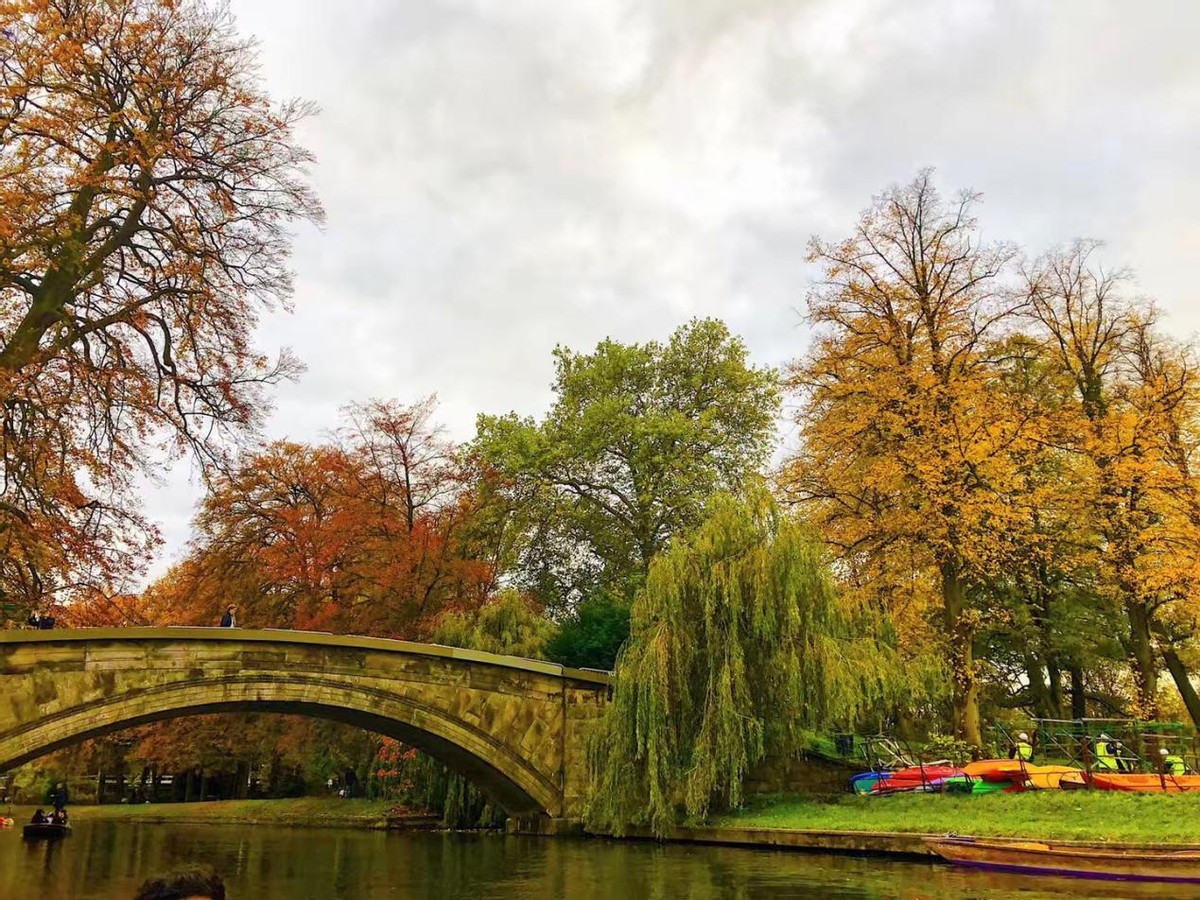 美貌才华并存的3所大学，哈佛、剑桥、麻省理工，不看会遗憾哦