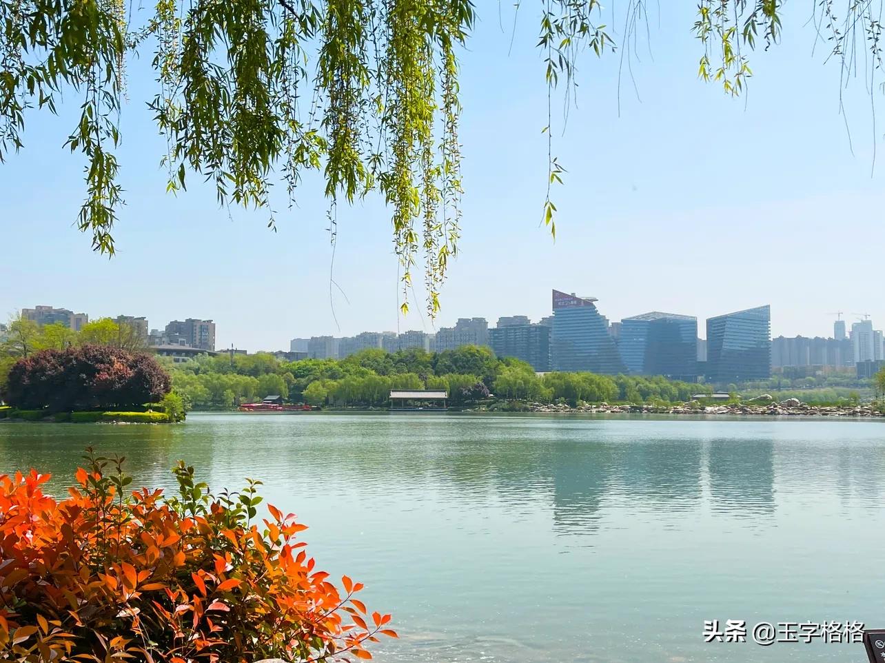 世界读书日.读书如牵挂，爱你如夏花，读书滋味像吃盐，百味之首