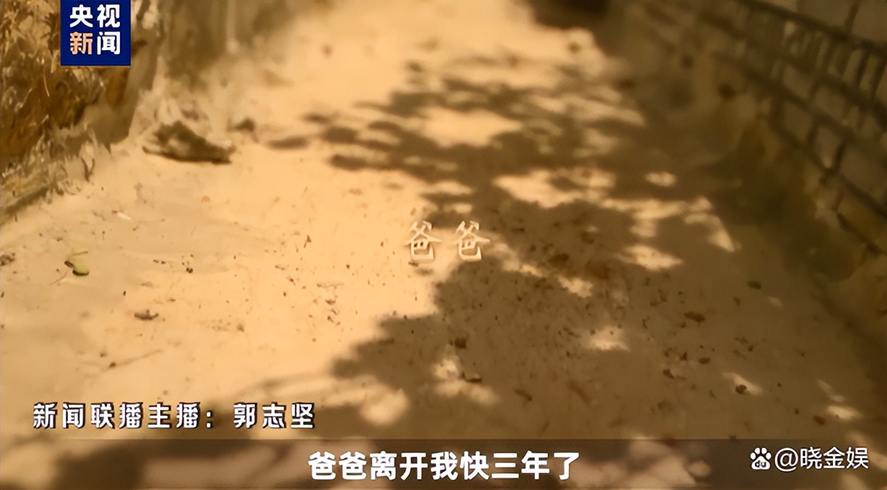 新闻联播：主播讲故事，海霞郭志坚郑丽讲述自己和爸爸的难忘经历