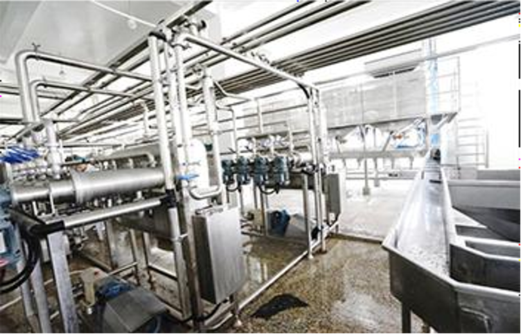 早餐这样做，快速、简单、方便、营养还健康