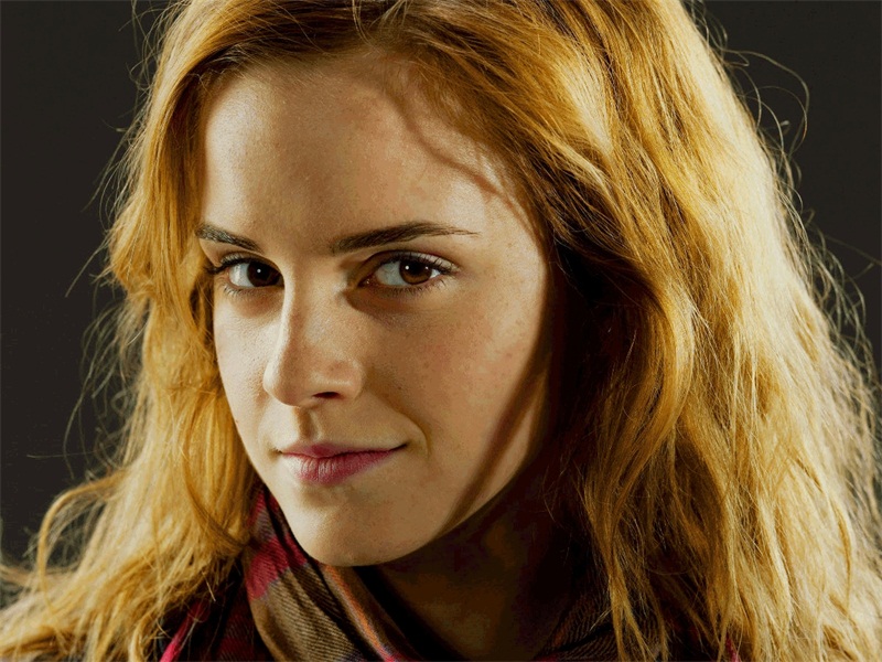 一折怎么算(哈利波特)