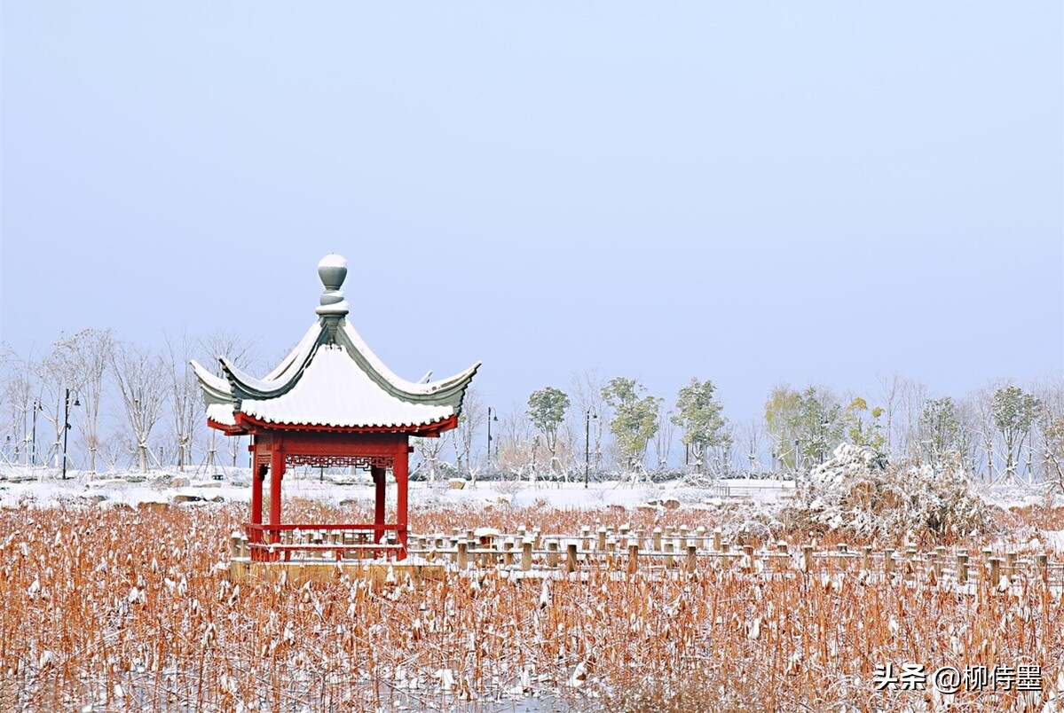 提升雪景照片的“高级”感，5个摄影技巧，让照片更有意境