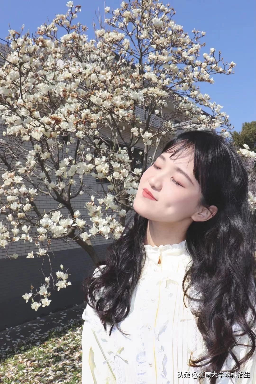 淡江大学校花「.淡江大学」-爱妻自媒体