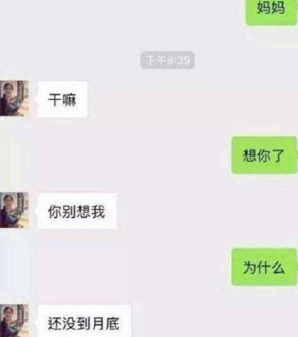 男大学生和父母的“聊天记录”走红，上演一部宫斗剧，画面感十足