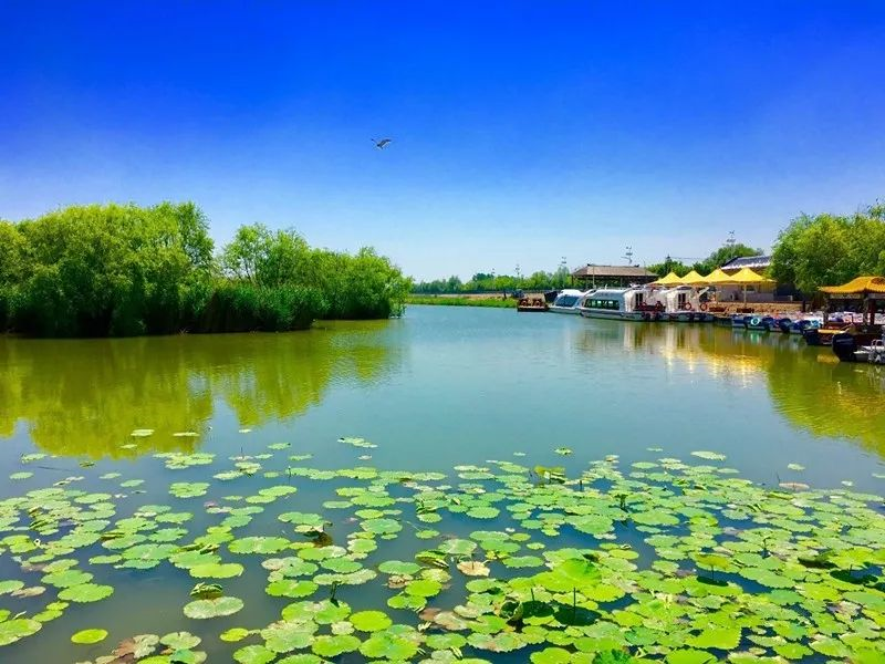 母親節(jié)游合陽洽川,，鉅惠來襲