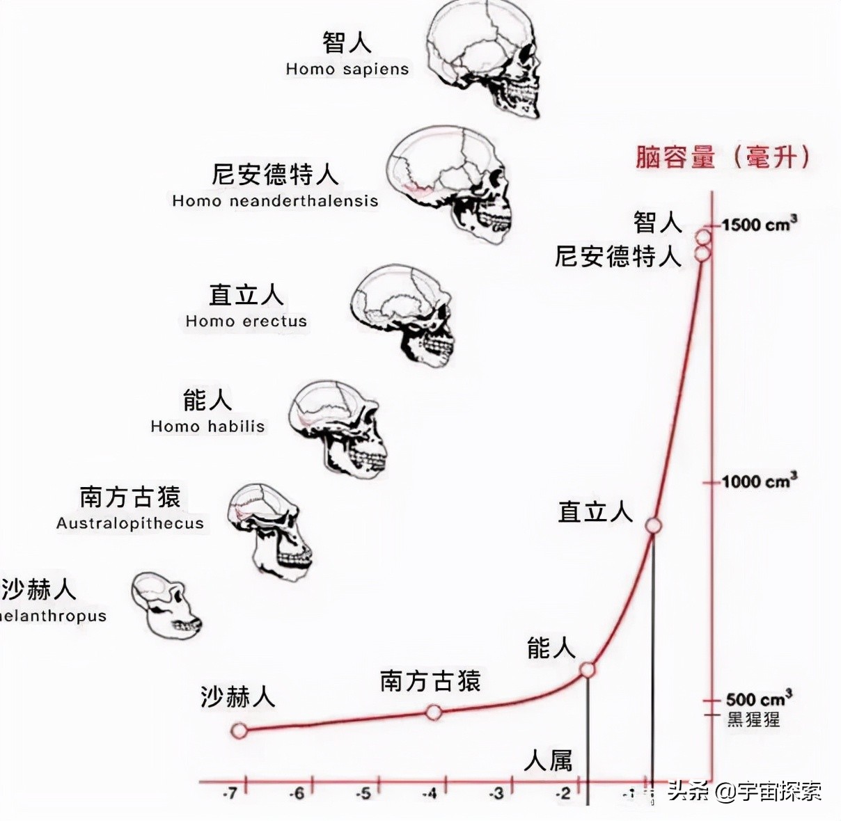 深度长文：动物界通常雄性更漂亮，为什么人类雌性比雄性更漂亮？