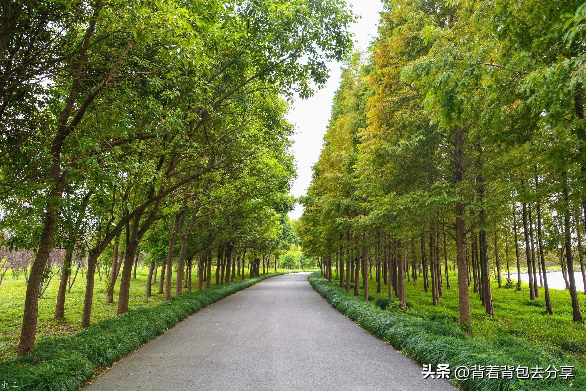 上海必去十大景点（上海必去十大景点 书店）-第9张图片-昕阳网