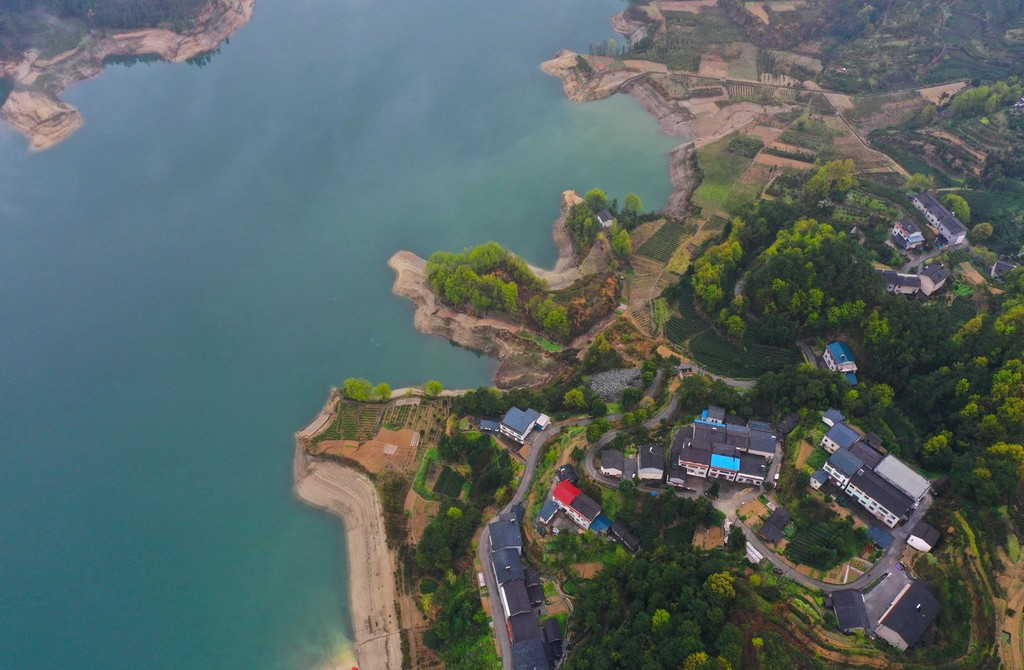 为预防长江洪涝，三峡开始全面腾库，会危害水库鱼类的生长吗？