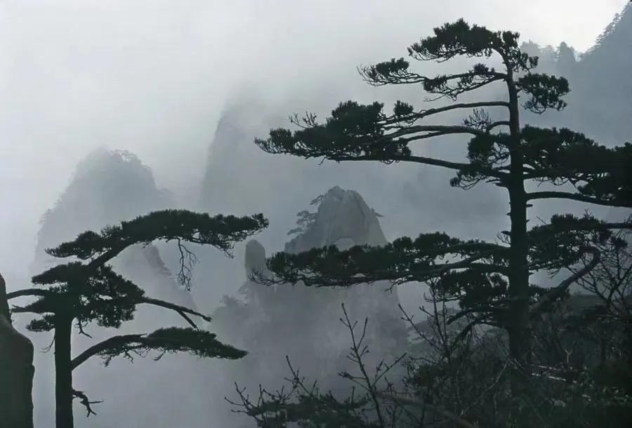 人生，干就对了