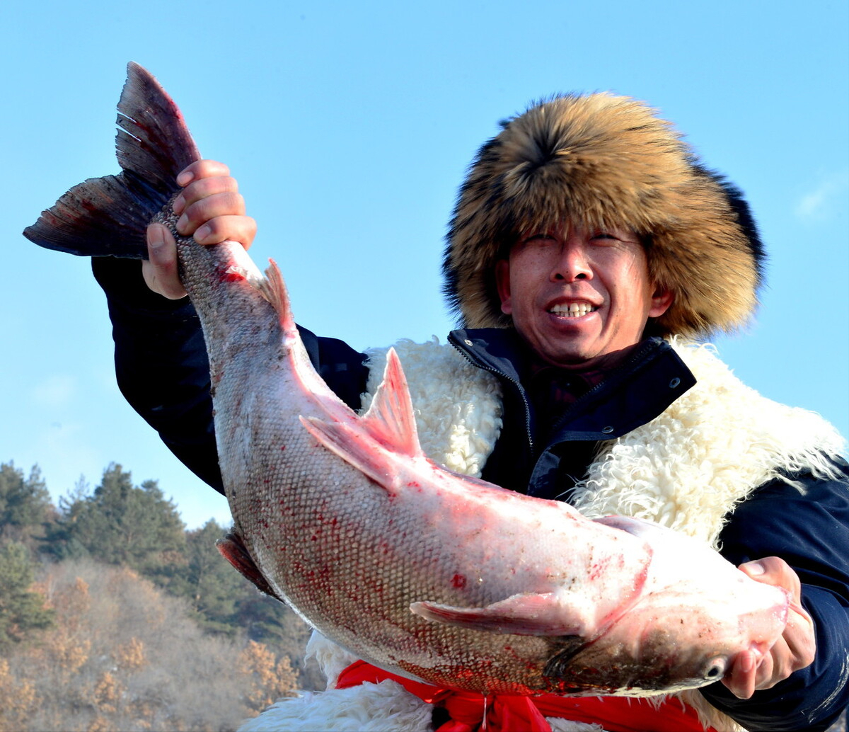 白斑狗鱼多少钱一斤图片