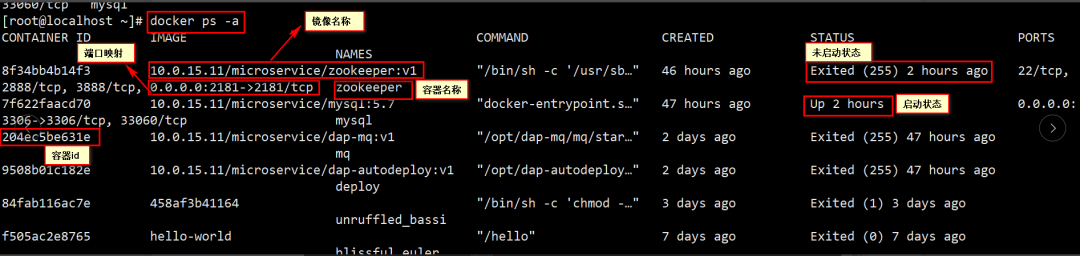 實用干貨分享（2） - Docker使用操作指南