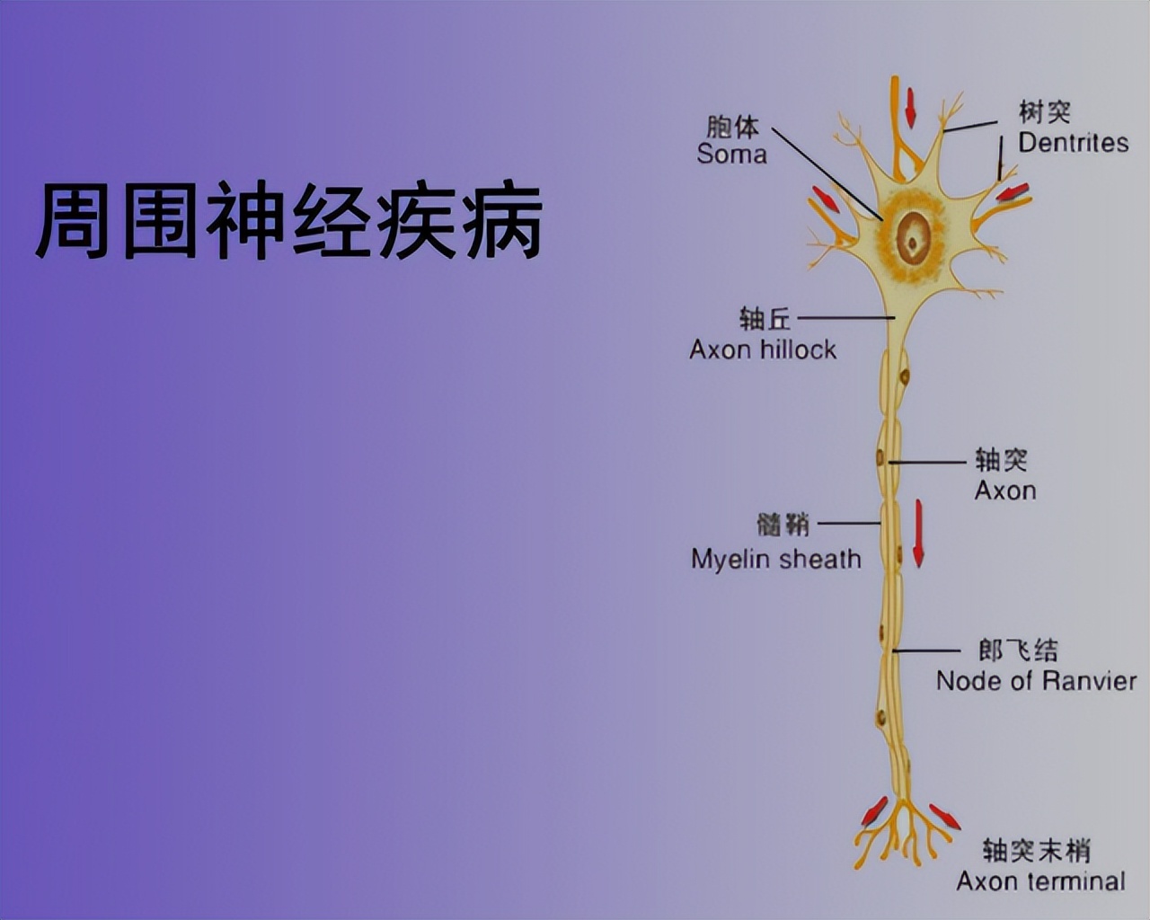 甲钴胺不只修复神经，还可用于5种常见病，多了解以备不时之需