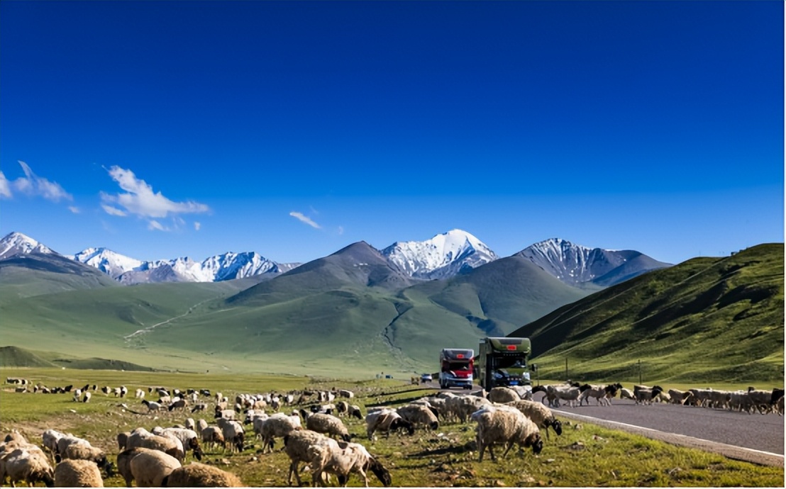 依維柯歐勝圓滿(mǎn)交付，旅游行業(yè)用車(chē)首選當屬依維柯