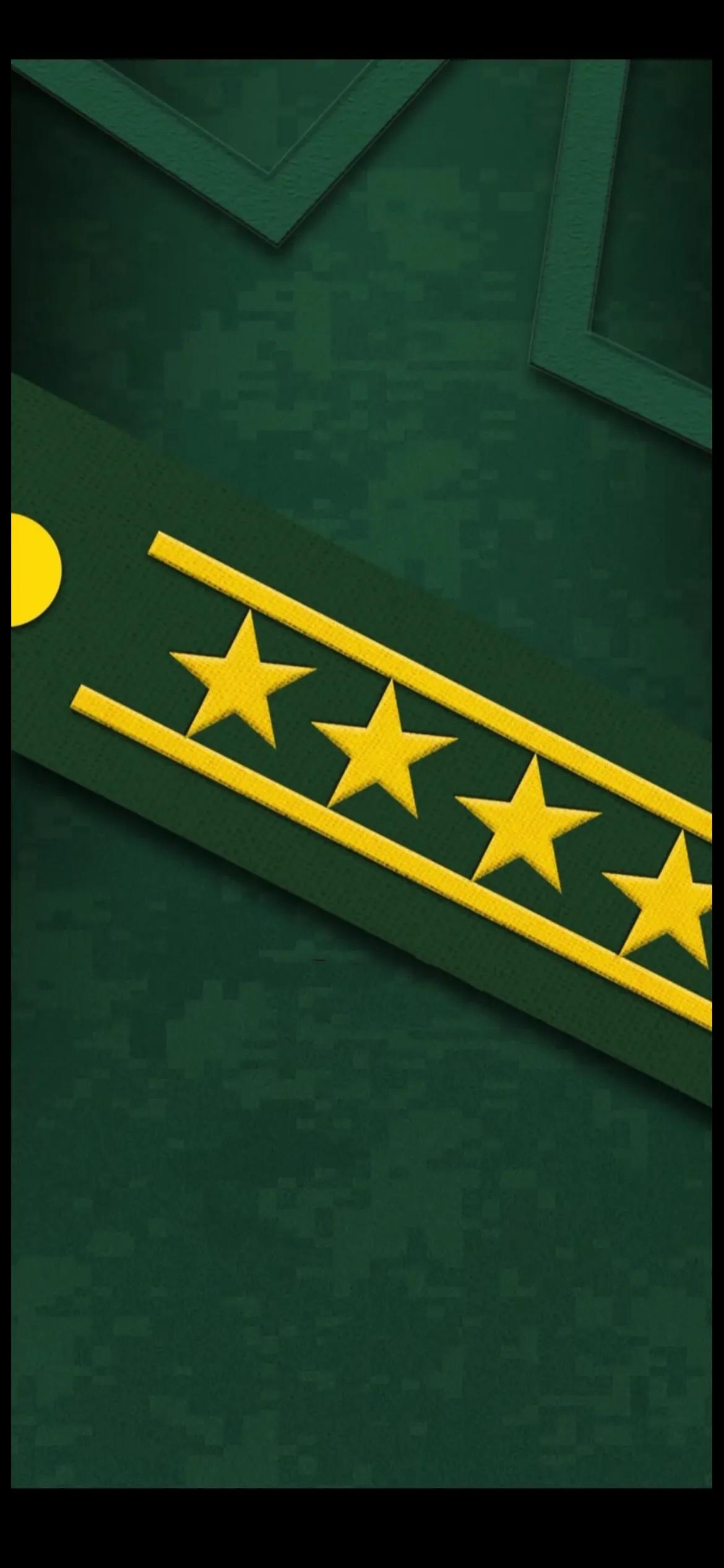 要高清的谢谢大家(手机壁纸|人民武警军衔等级肩章系列全套手机壁纸)