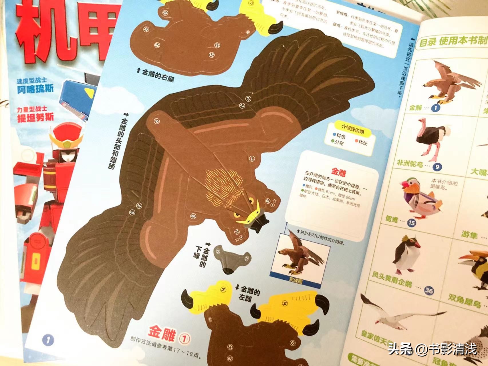 一本纸上博物馆，让孩子动手又动脑，制作自己的纸上模型
