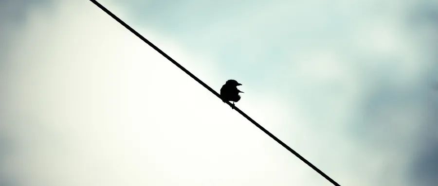 李仑：从存在主义心理治疗视角看女大学生自虐式减肥的成瘾过程