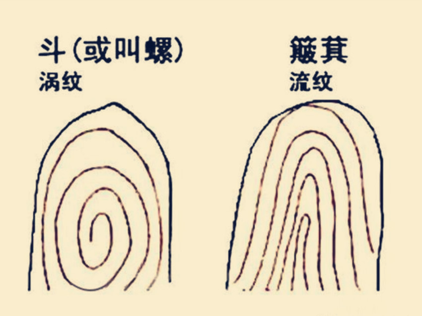 康熙10个"斗",中科院发现指纹斗与簸箕的奥秘
