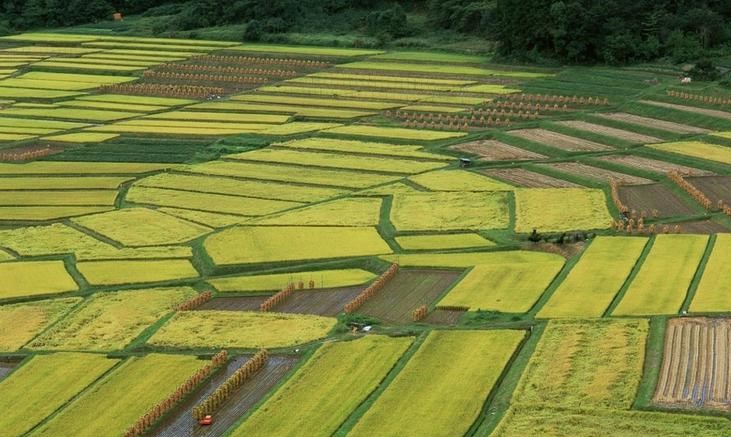 育才365专业讲解：地下水科学工程、水文水资源工程、土地资源