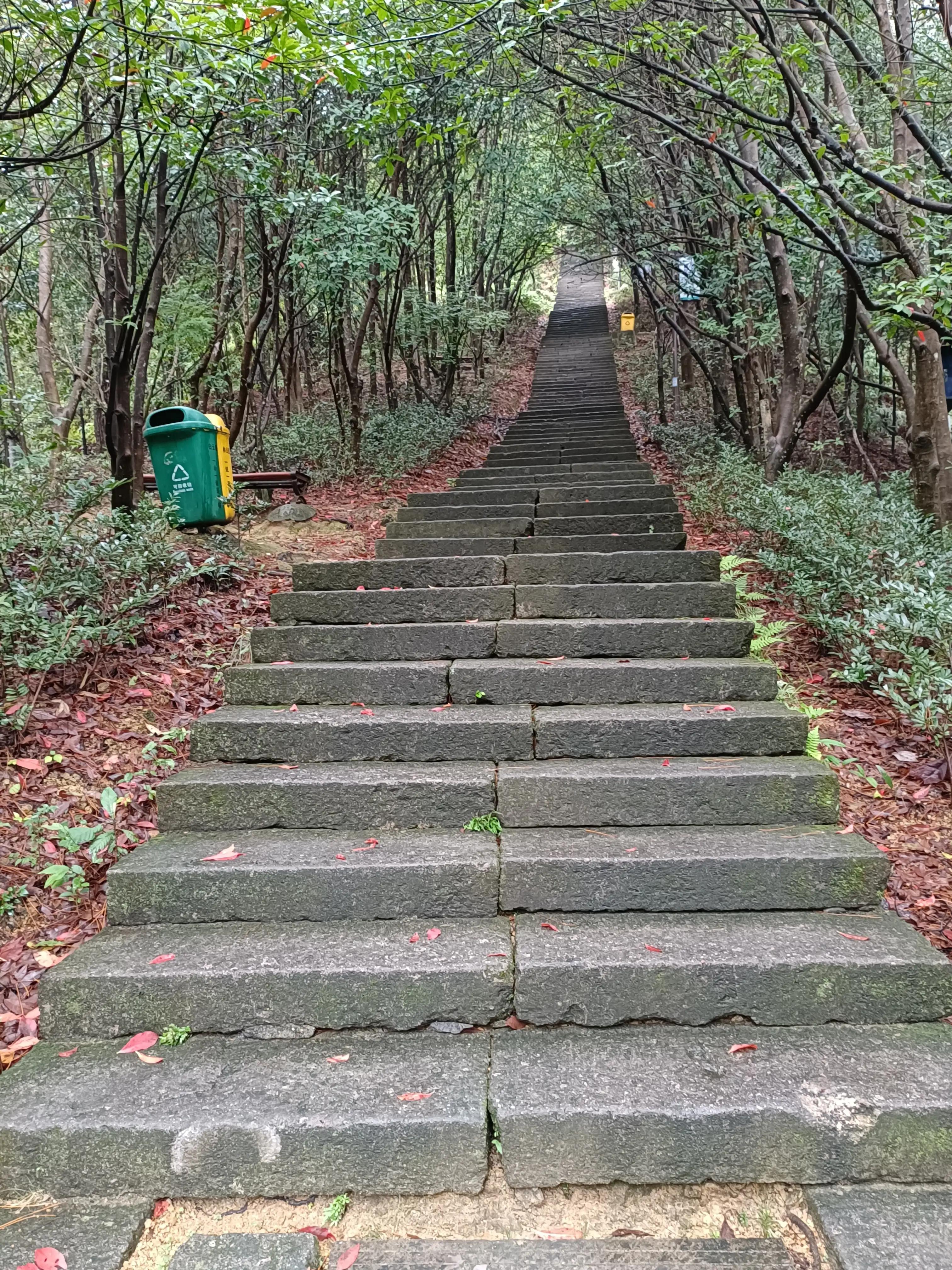 行到水穷处，坐看云起时一一雨游白云山