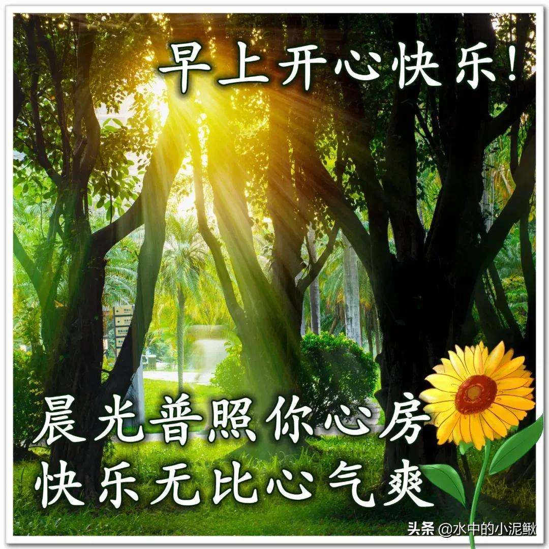 2022最新早安励志语录句子,微信早安正能量问候句子