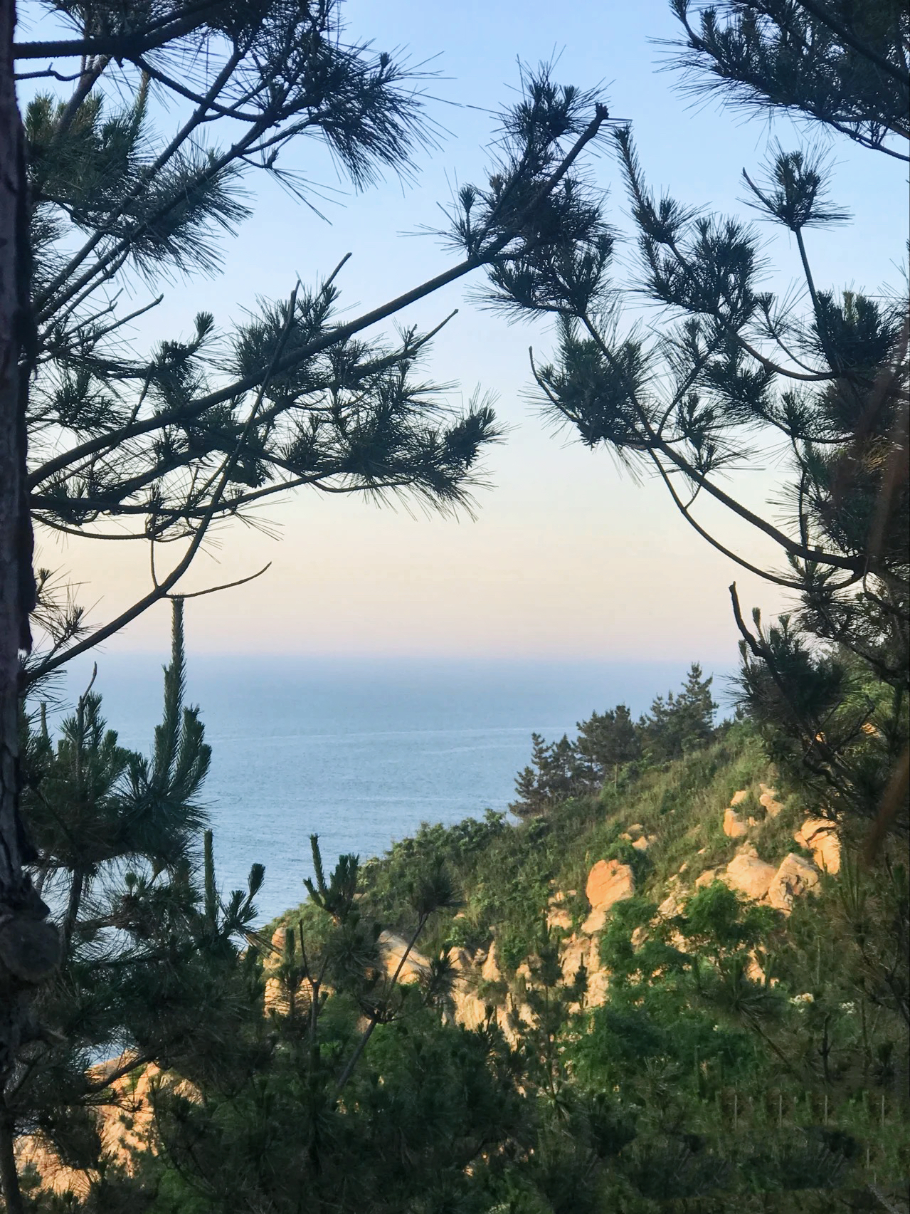 去威海旅游哪里好(去威海旅游哪里好玩一点)