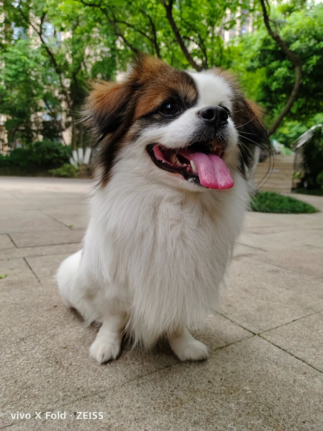 深度使用半个月后，vivo X Fold最受关注的这些问题可以回答了