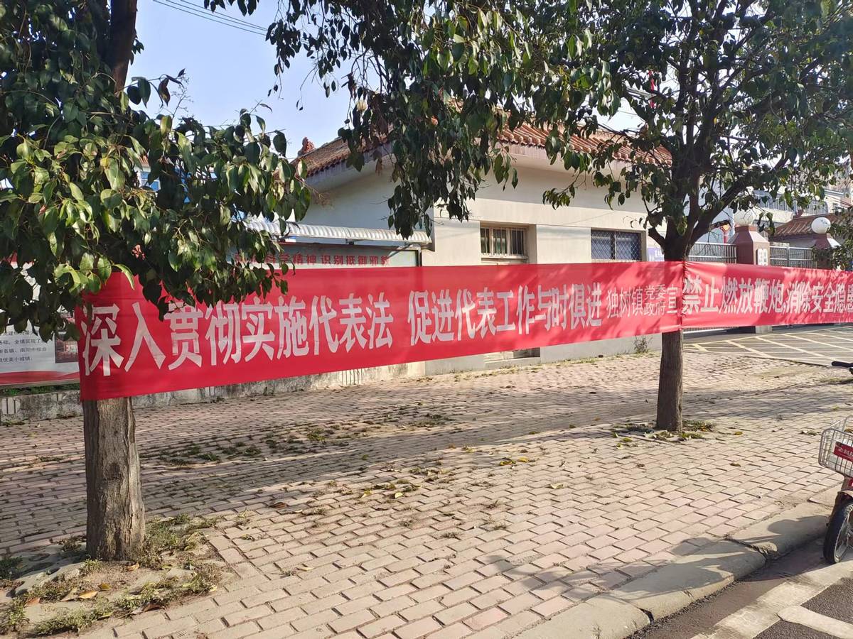 方城县独树镇：宣传贯彻代表法 助力乡村振兴
