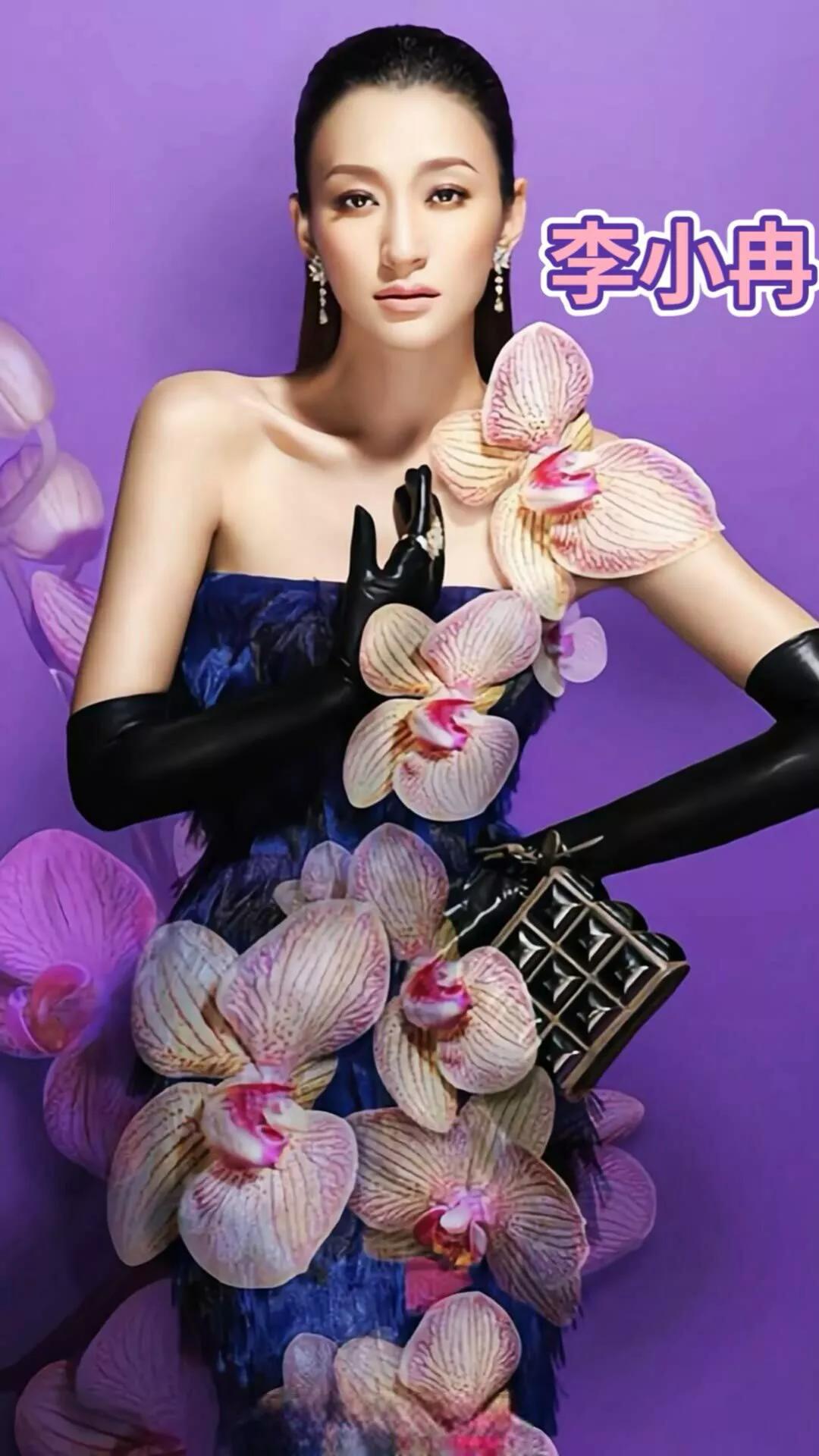 李小冉 美图写真集一