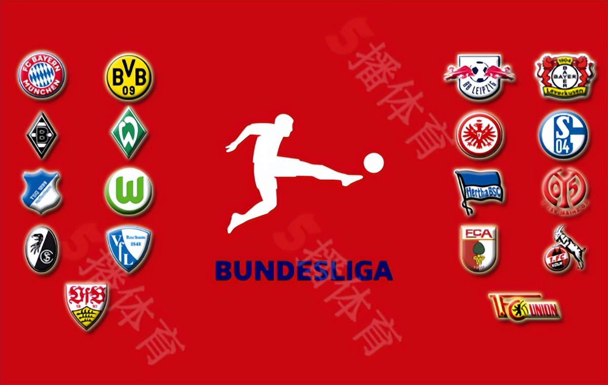 新赛季德甲哪里看（德甲联赛最新积分榜及下一轮赛程详情一览）-华海博客