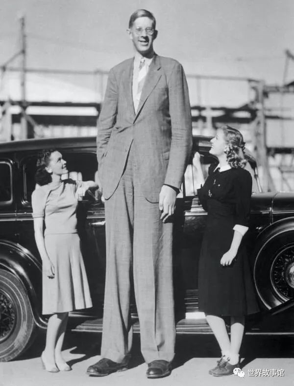 世界上最高的人有多高,世界上最高的人有多高叫什么名字