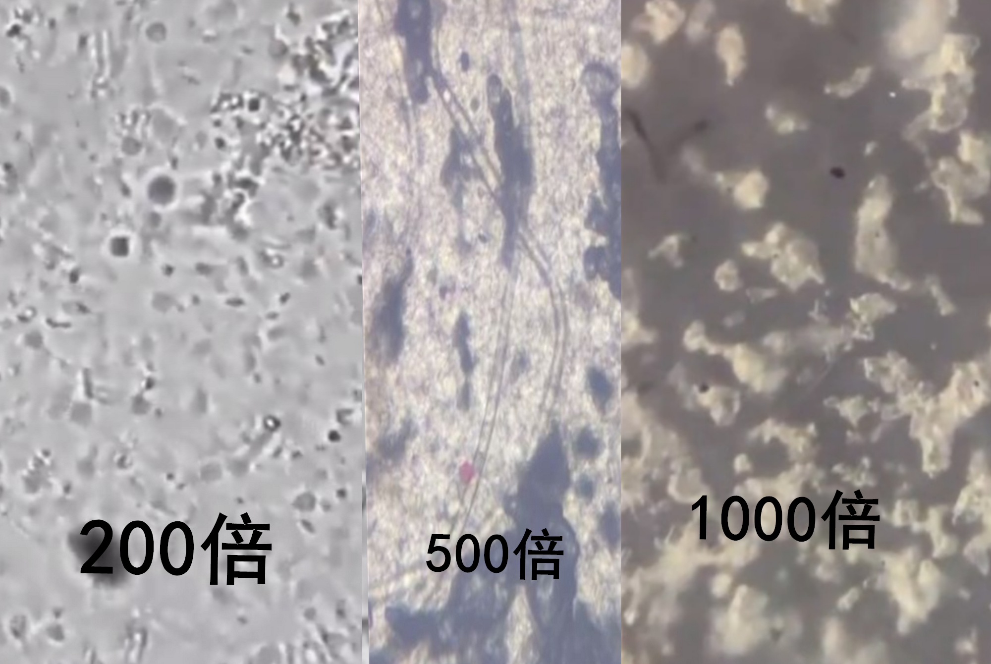 宝宝肚脐眼的“泥”又黑又脏，宝妈千万别乱抠，五步教你科学清理