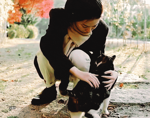 她没惹到任何人