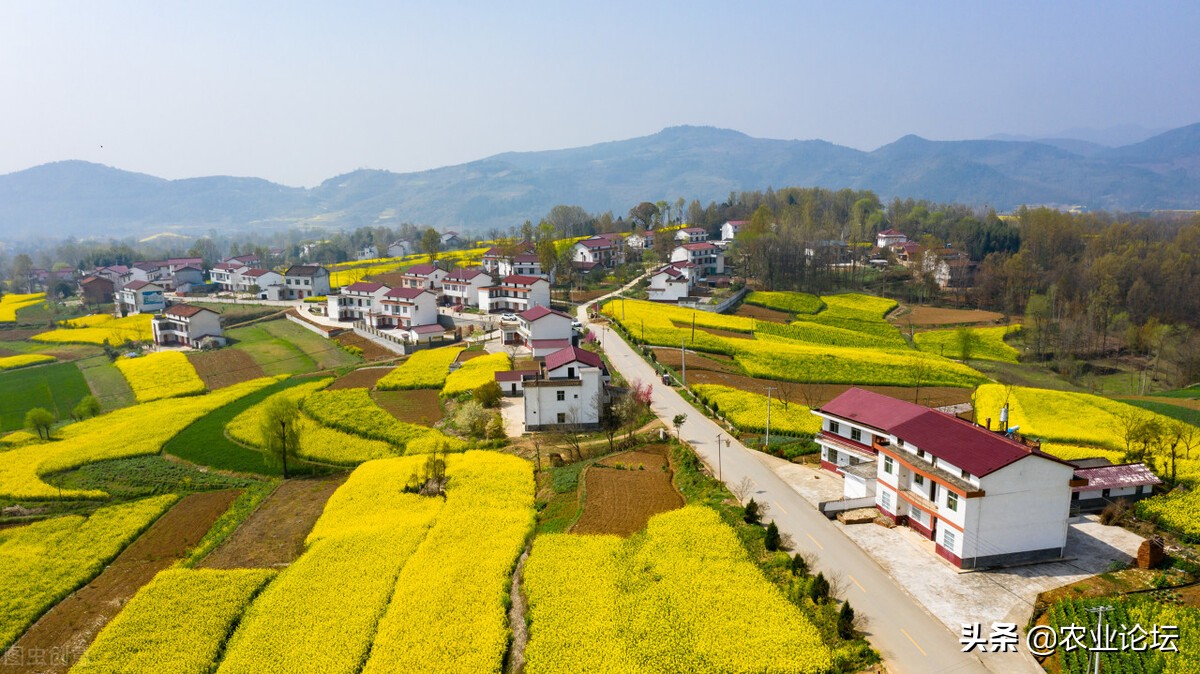 陜西省2022年耕地地力保護(hù)補(bǔ)貼標(biāo)準(zhǔn)是多少？各地每畝補(bǔ)貼多少錢？