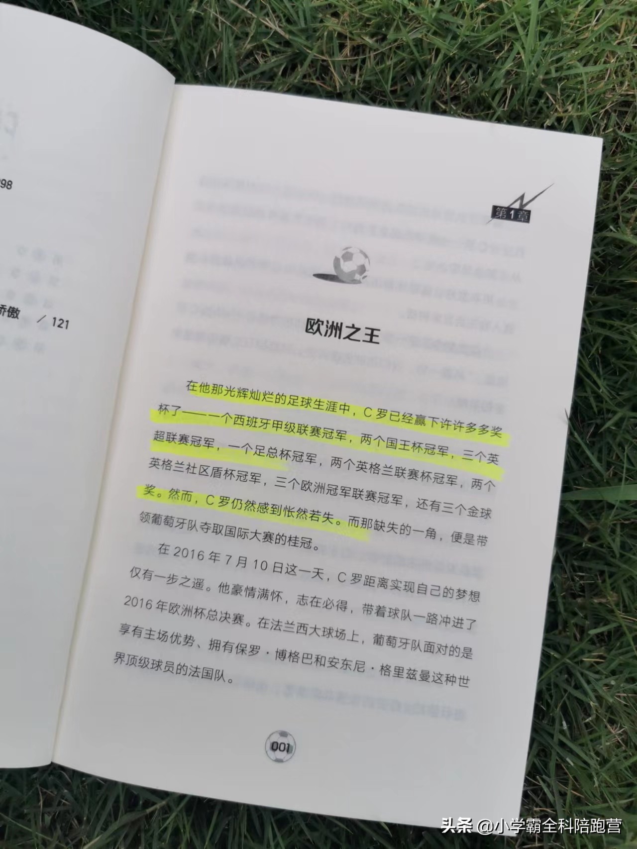 世界杯官传记(这个暑假，这套《精选球星传记》一定要给孩子们安排上)