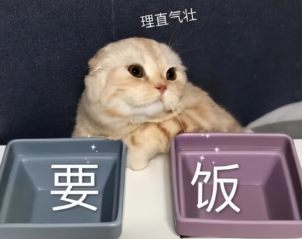 大学生生活费也有档次划分，1500属于啥水平？很多家长都不了解