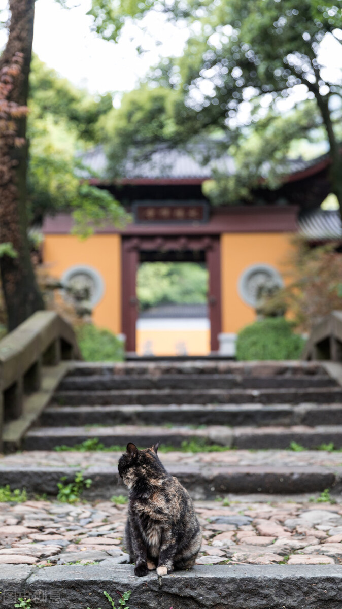 50张唯美禅意风景图片。高清淡雅意境壁纸，让人心静的自然美图