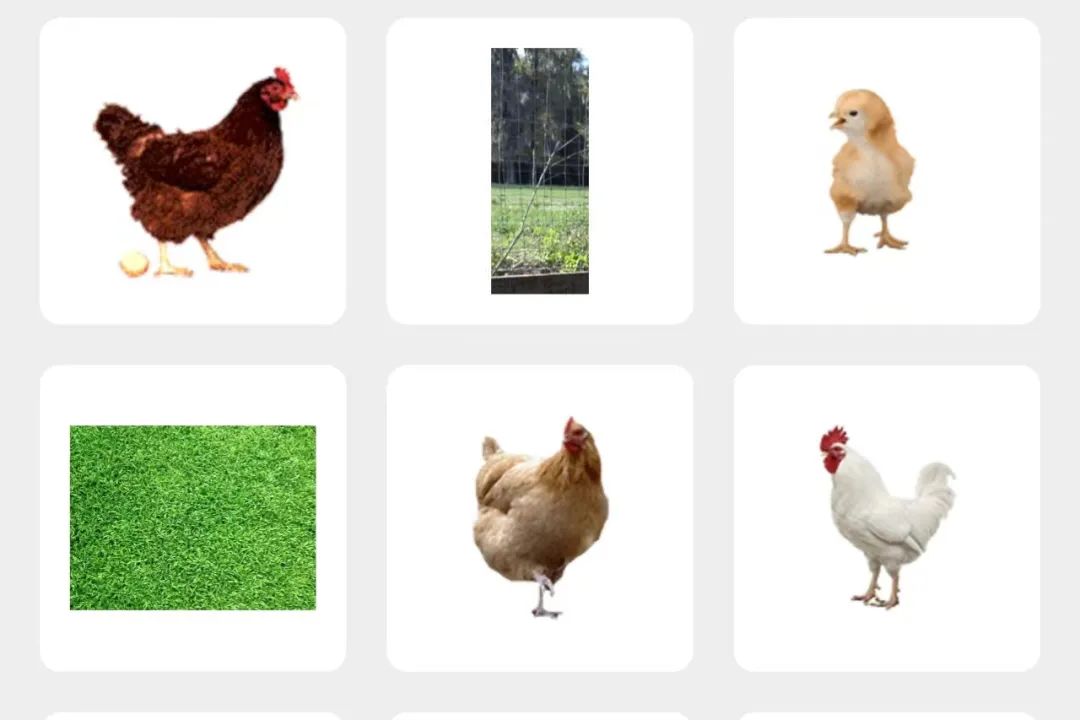 全网最全梳理：微信农场里的小动物都是啥？能养真的么？