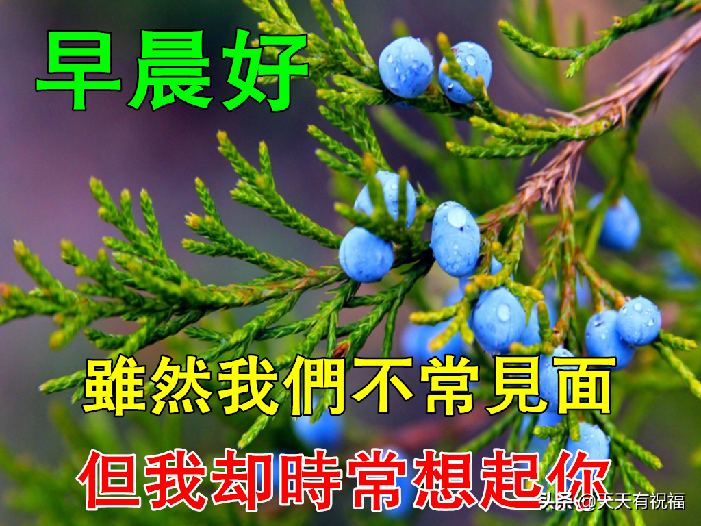 最美早安问候祝福语图片带字温馨 朋友圈暖人心的早安问候祝福文字