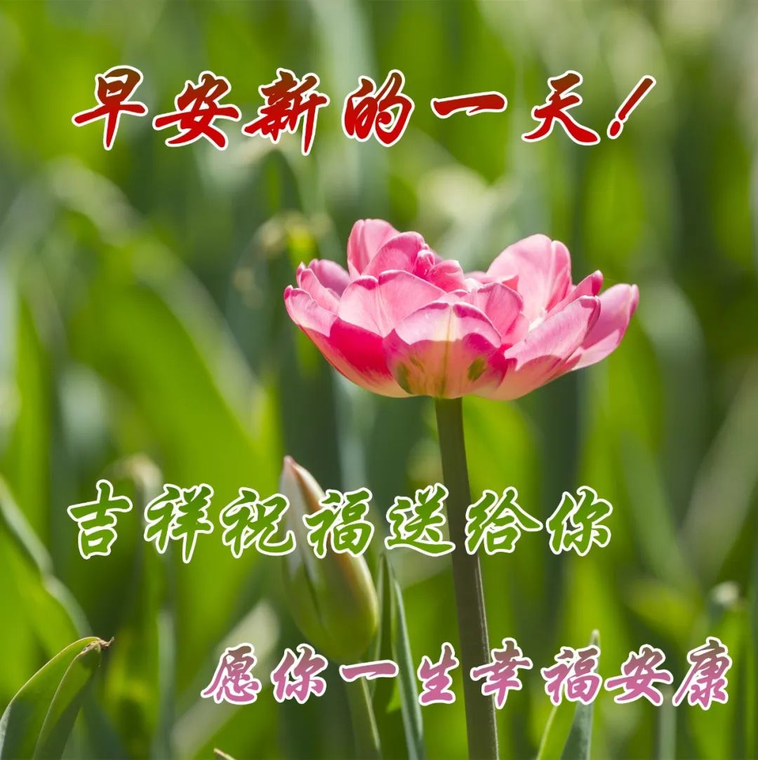 送你健康平安吉祥!愿你的每一天都充满幸福,好运连连
