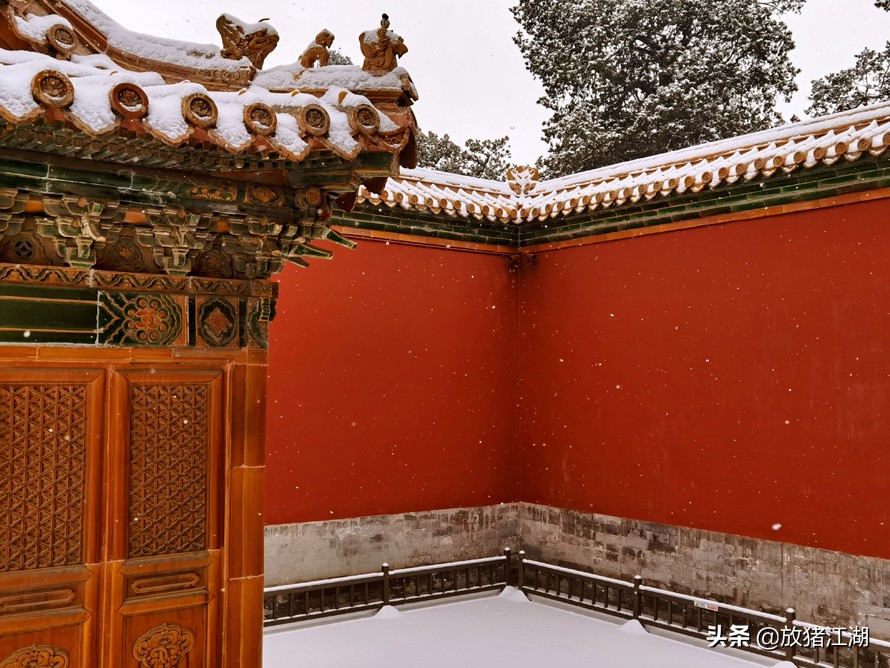 600年的紫禁城，一场大雪覆盖金瓦红墙，美得不动声色