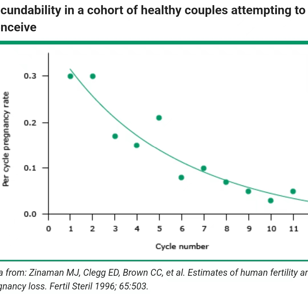 玄彬孙艺珍刚度完蜜月就怀孕，我却3年没动静