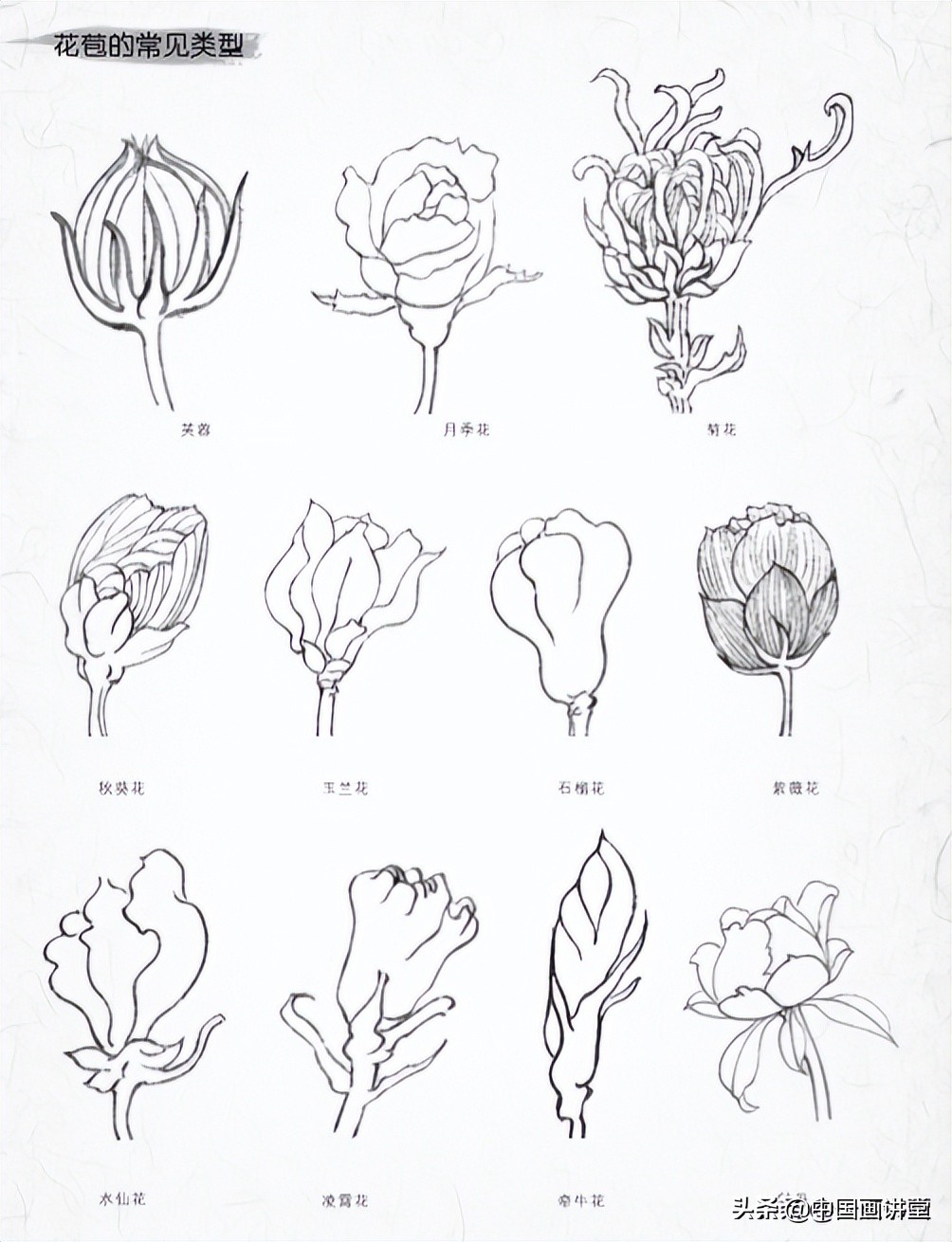 桃花树怎么画好看(教你简单易上手的桃花树画法)