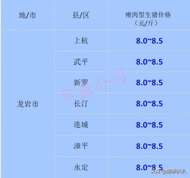 今日福州猪价多少钱「福州猪排骨价格今日价」