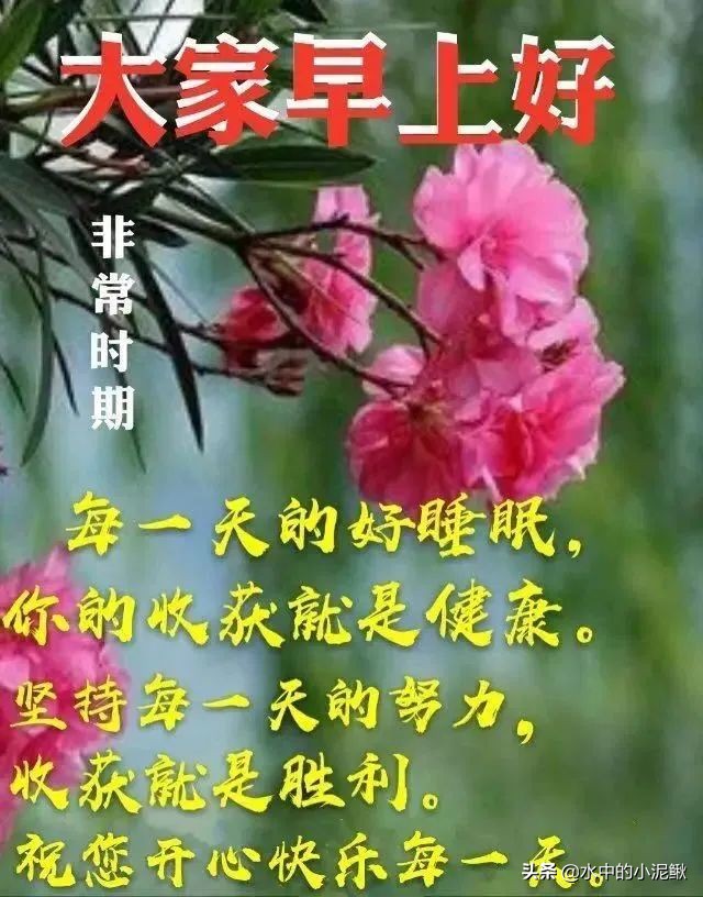 早安励志经典语录分享，句句充满正能量的句子