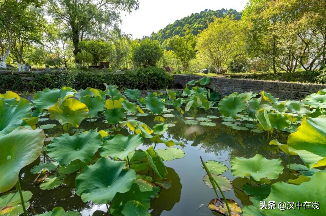 「青木川」一座充滿(mǎn)傳奇色彩的古鎮(zhèn)