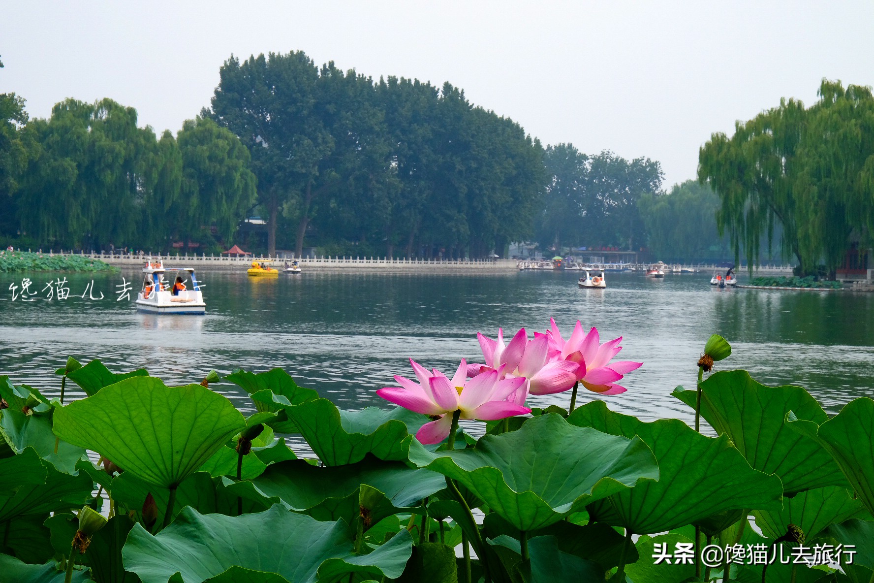 北京郊区一日游或者长城一日游，有什么高质量又省心的玩法吗？