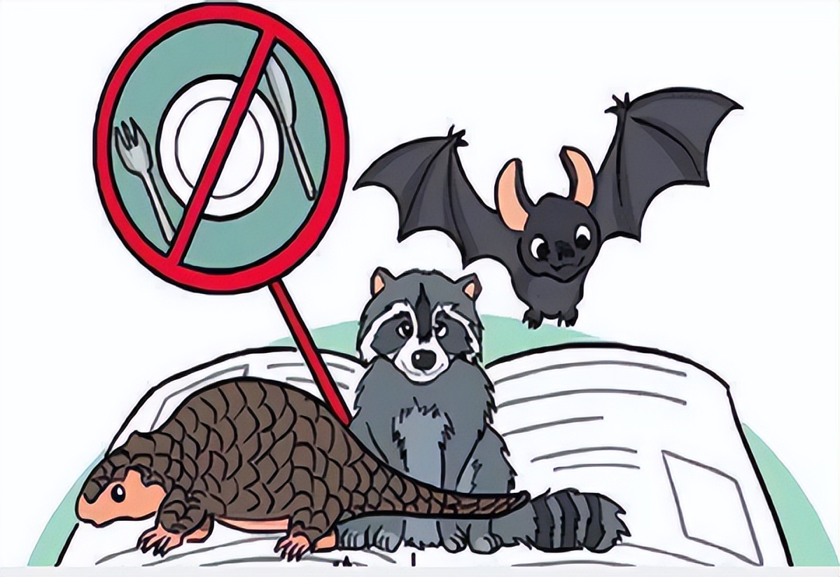 如何消除新冠?动物冠状病毒的防控中或能得到启示