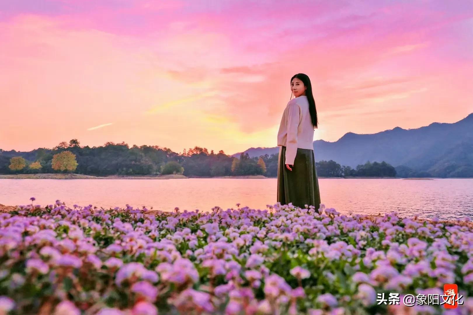 诗词/摄影欣赏：《国粹》《朱顶红》《待到山花烂漫时》「281」