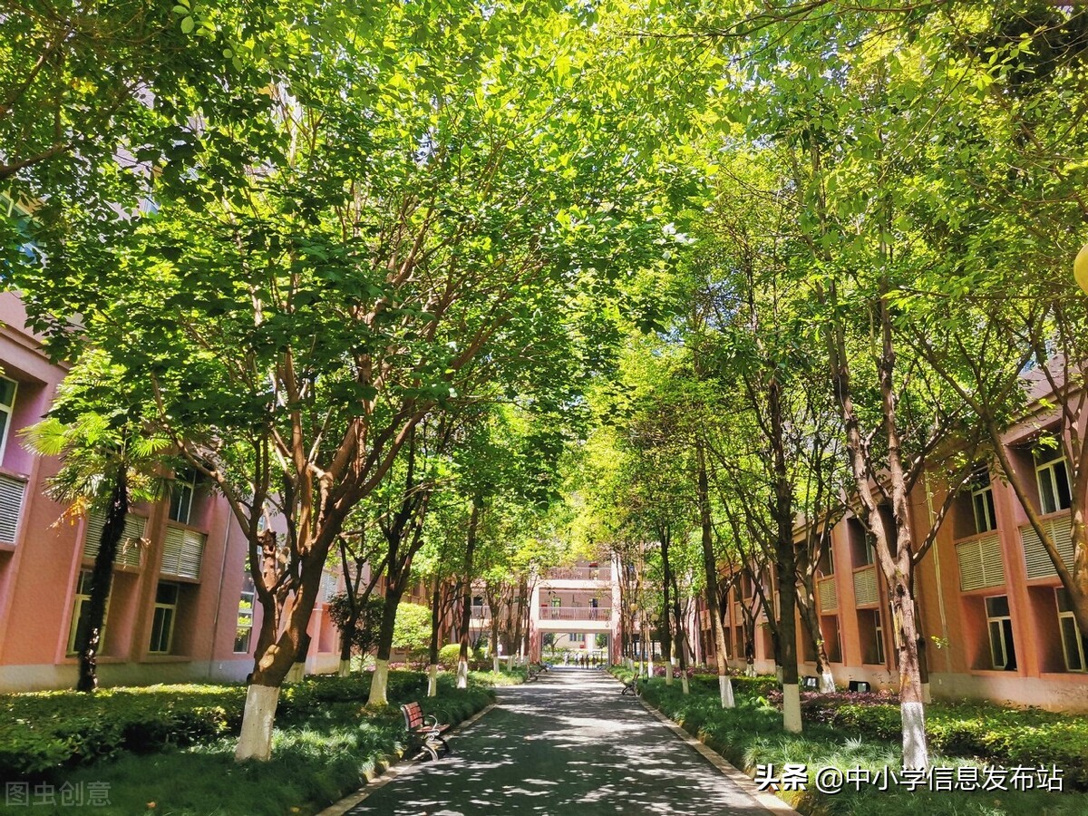 小升初如何择校？需要考虑以下四点问题