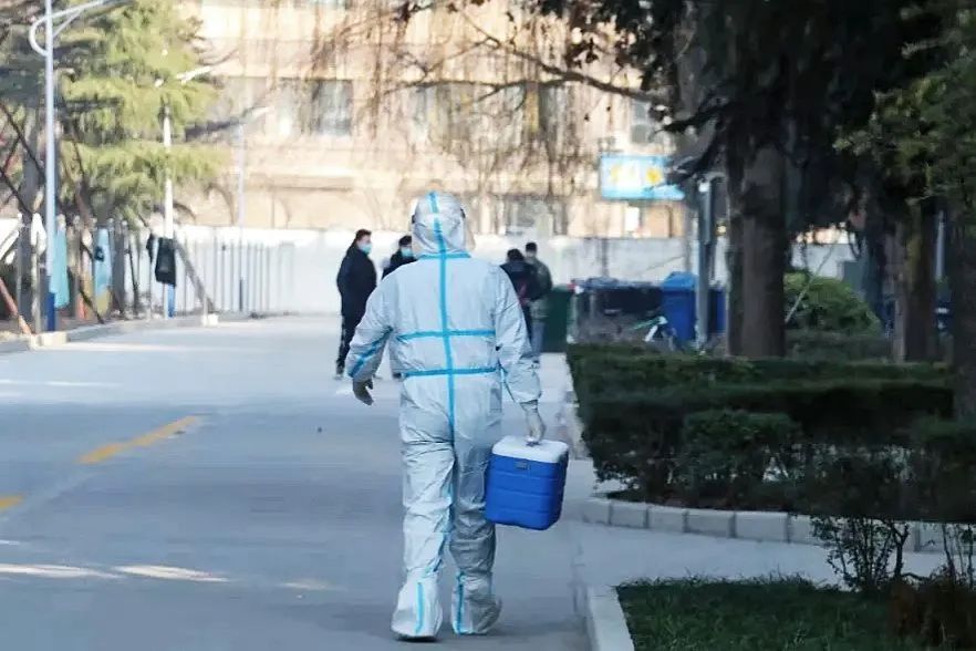 “镐”不畏惧，“京”心抗疫：2022，镐京学院的故事又开始了……